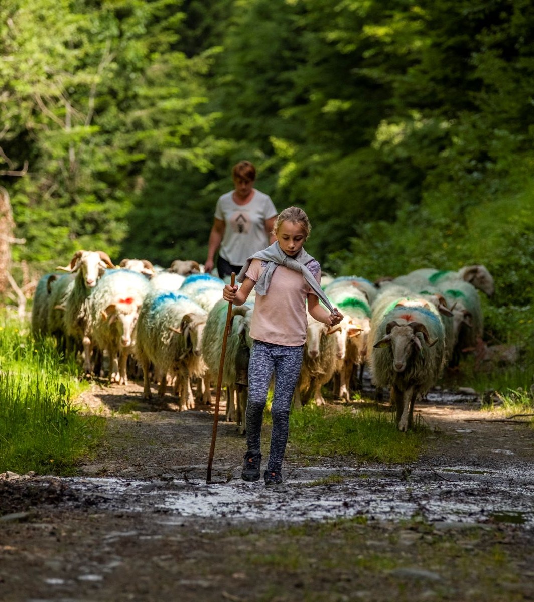 classement transhumance patrimoine unesco